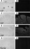 FIG. 5.