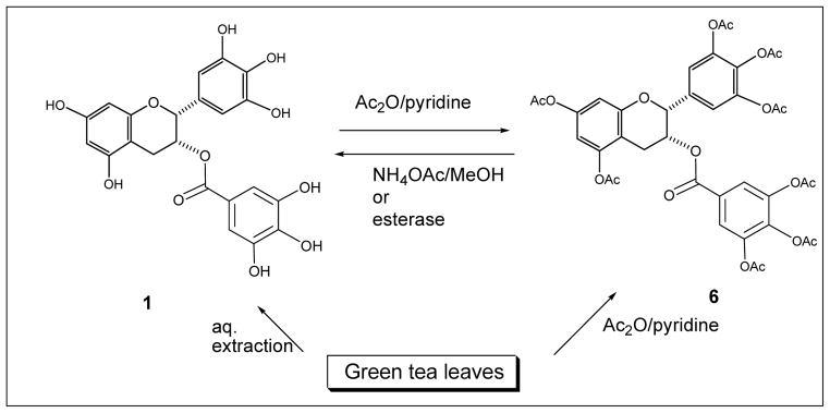 Scheme 1