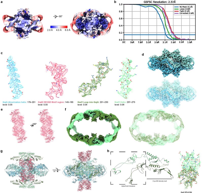Extended Data Fig. 6