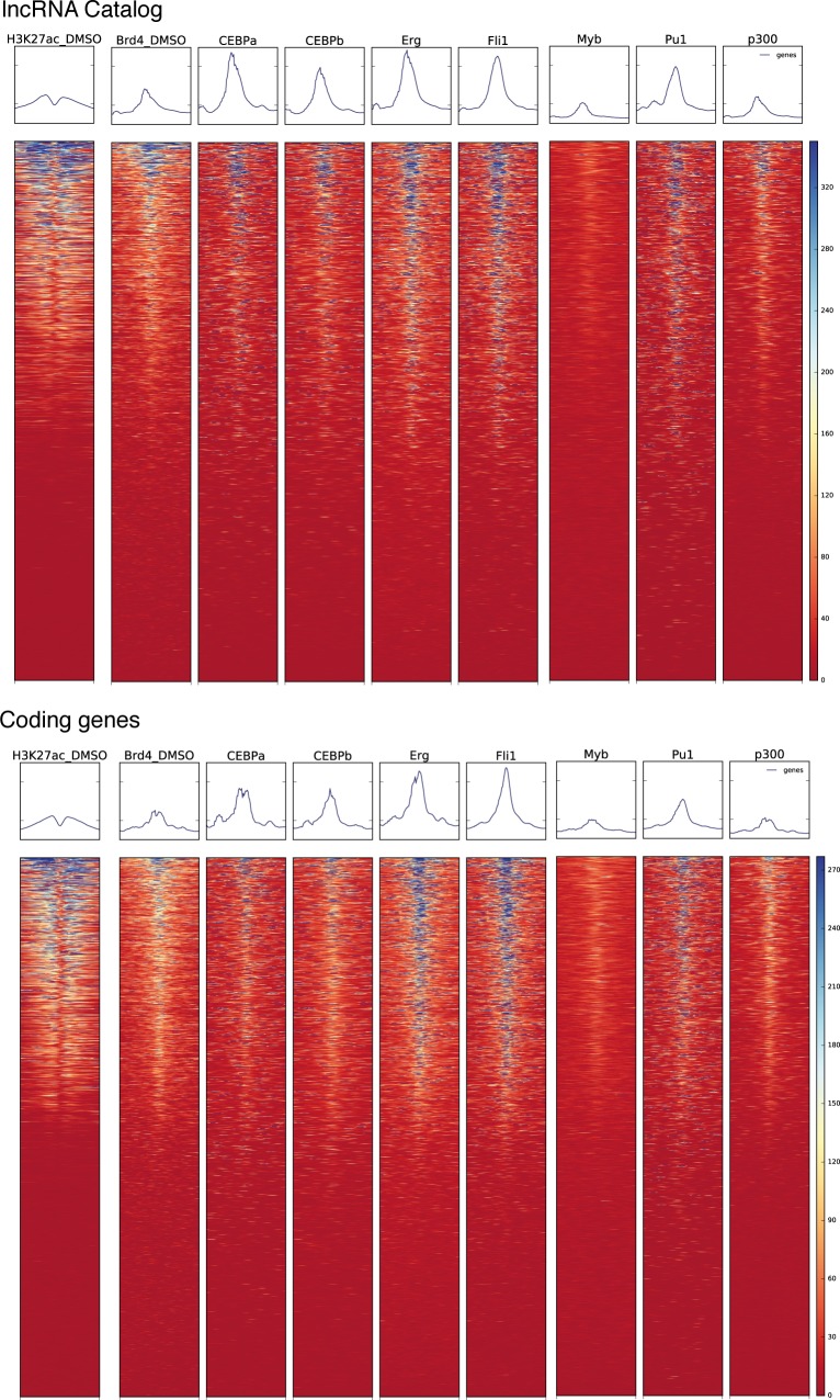 Figure 2—figure supplement 1.