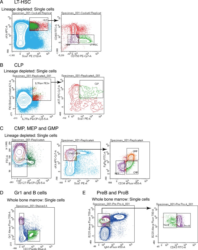 Figure 1—figure supplement 2.