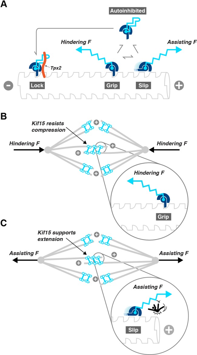 FIGURE 9: