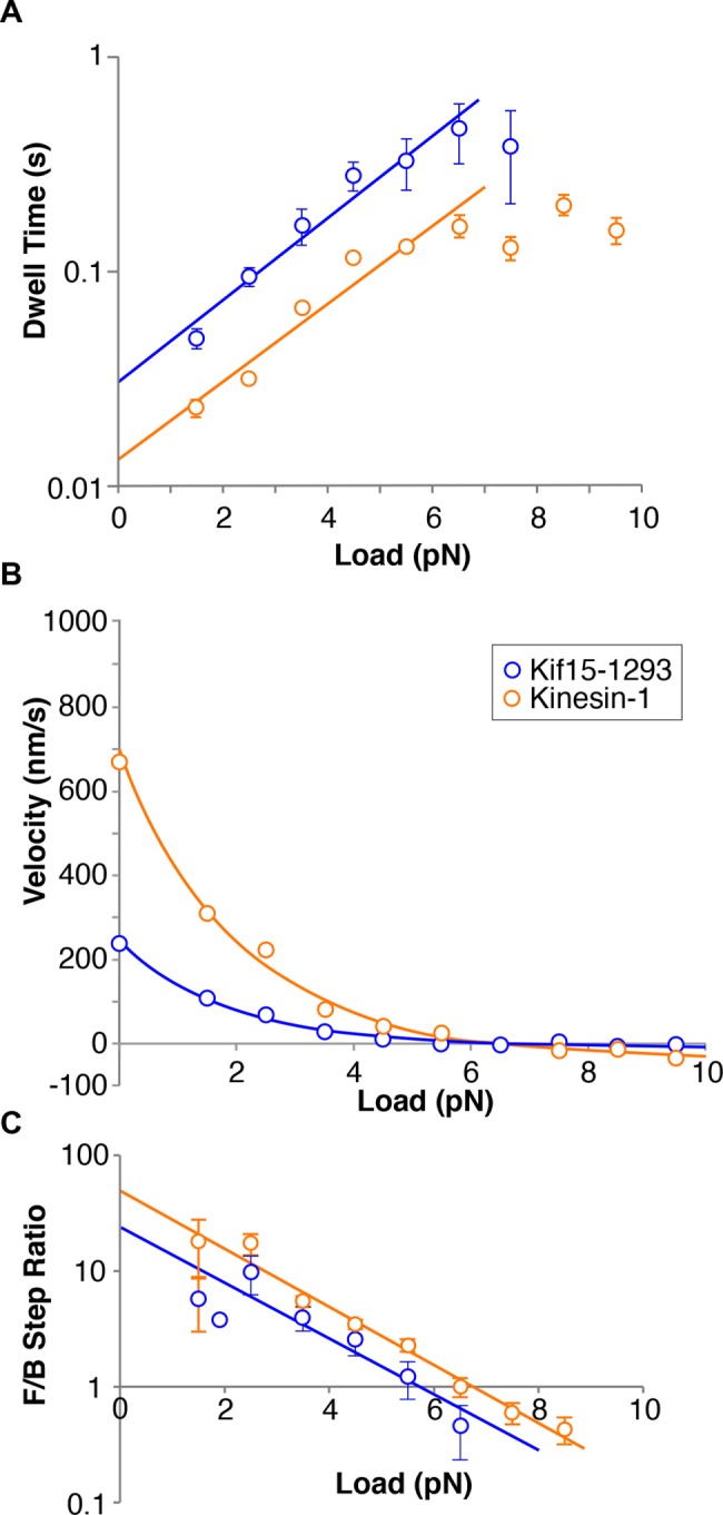 FIGURE 5: