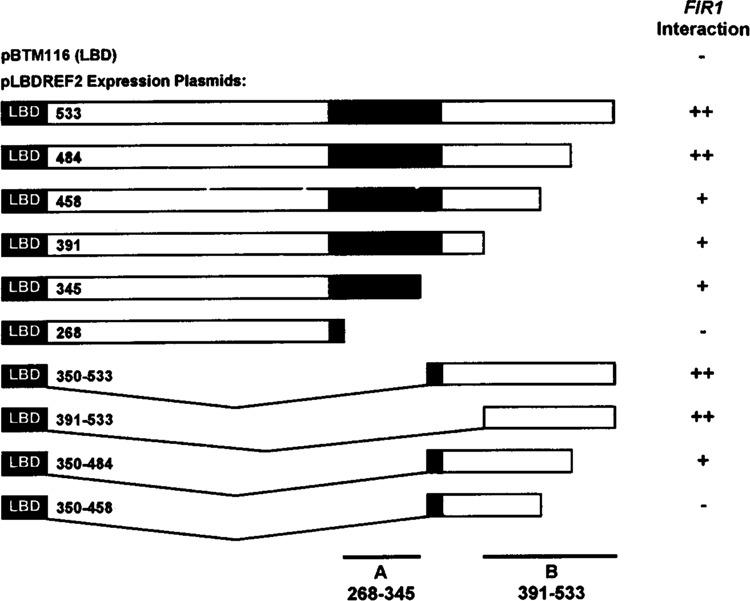 FIG. 6