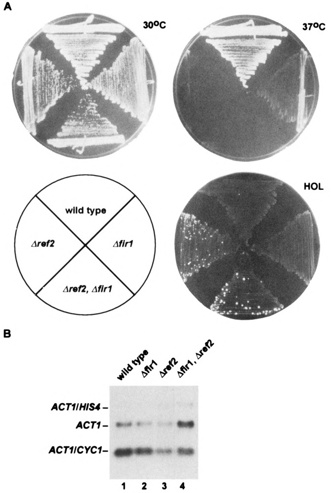 FIG. 5