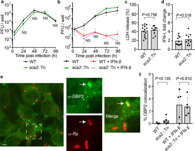 Figure 4—figure supplement 3.