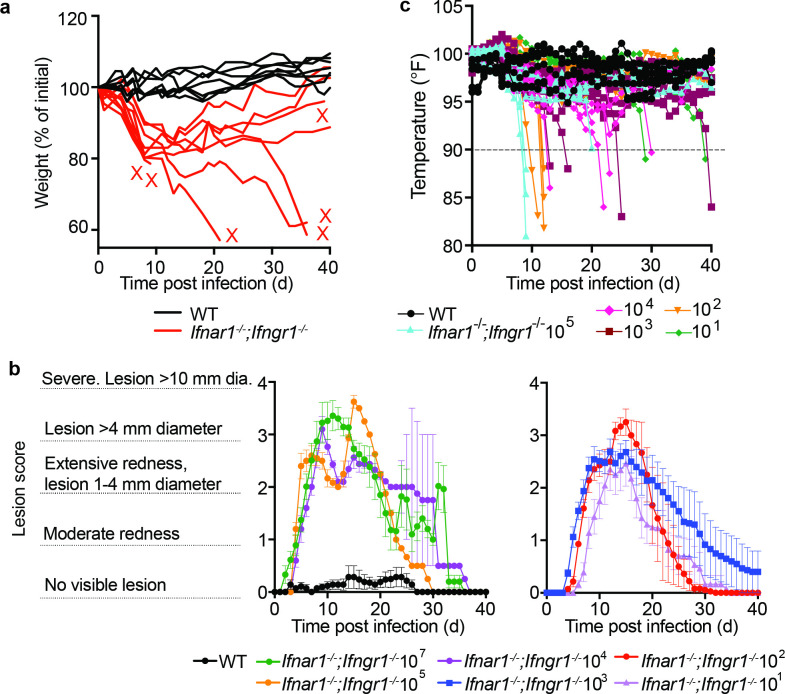 Figure 2—figure supplement 1.