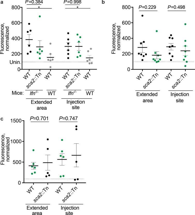 Figure 4—figure supplement 2.