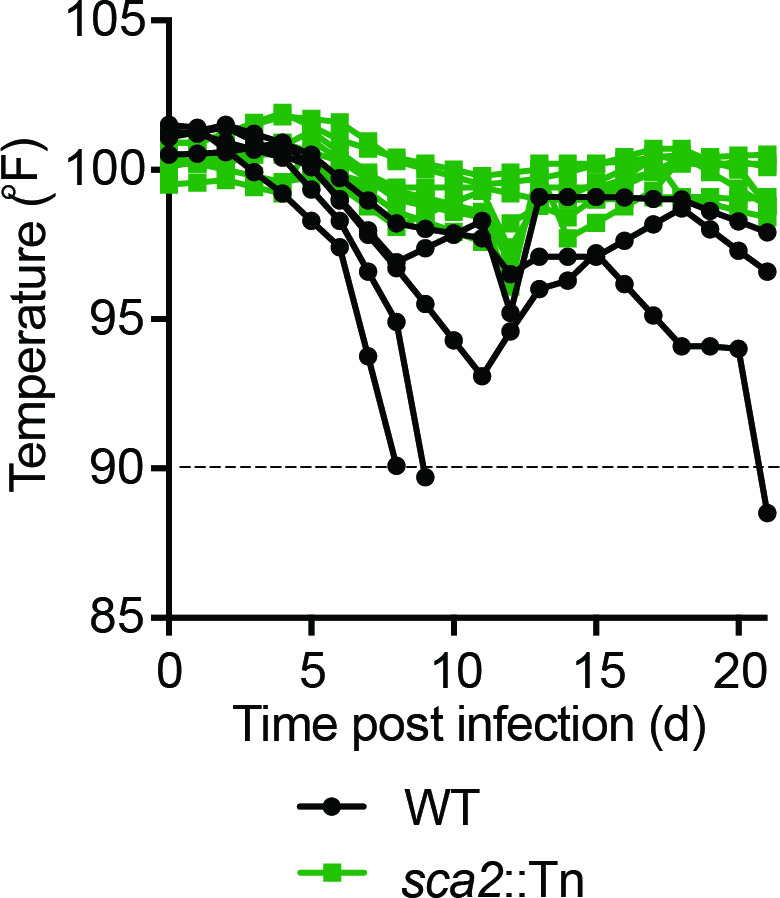 Figure 4—figure supplement 1.