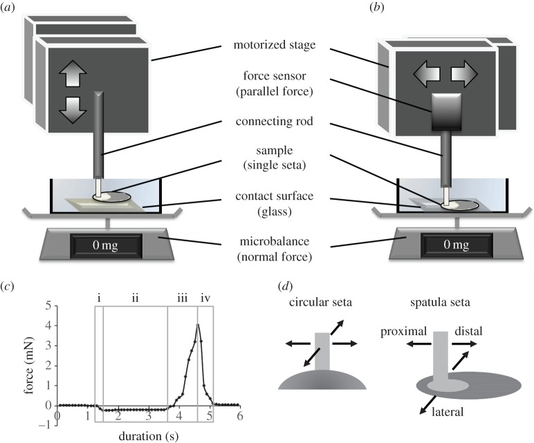 Figure 2.