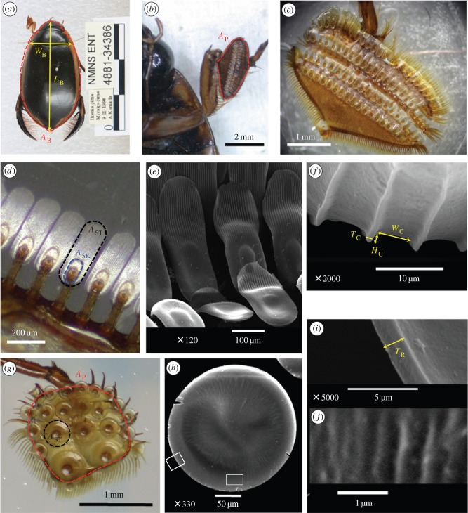 Figure 1.