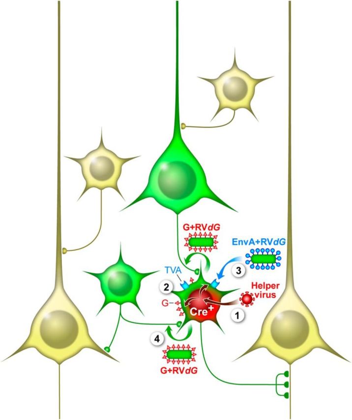 Figure 2.