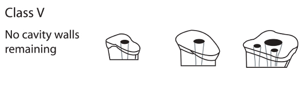 [Table/Fig-3]: