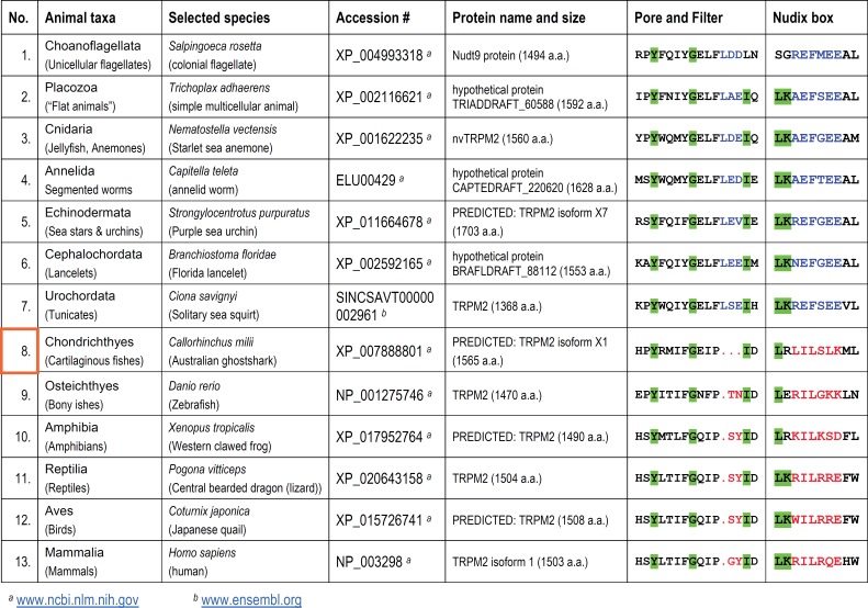 Figure 1—figure supplement 1.