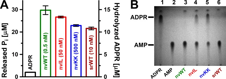 Figure 6—figure supplement 1.