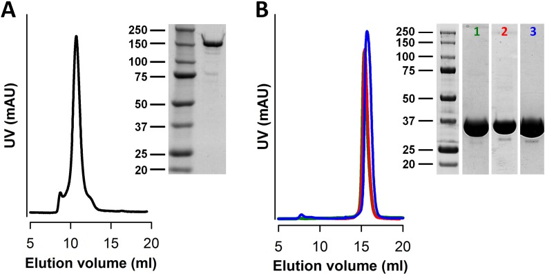 Figure 2—figure supplement 1.