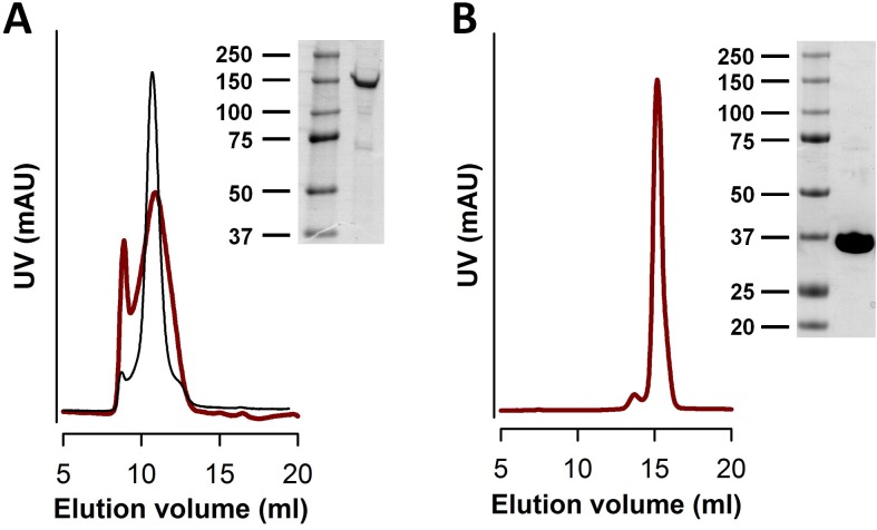 Figure 3—figure supplement 1.