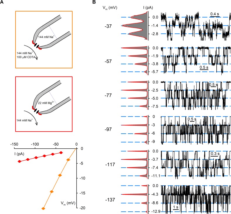 Figure 4—figure supplement 2.