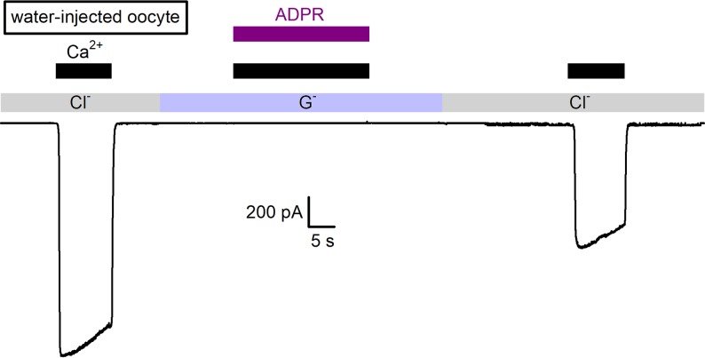 Figure 4—figure supplement 3.