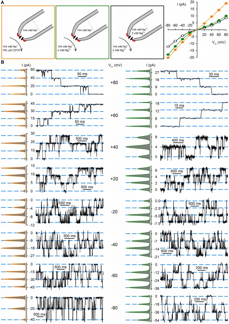 Figure 4—figure supplement 1.