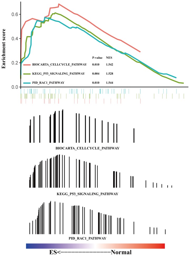 Figure 3.