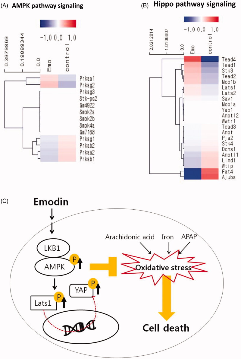 Figure 6.