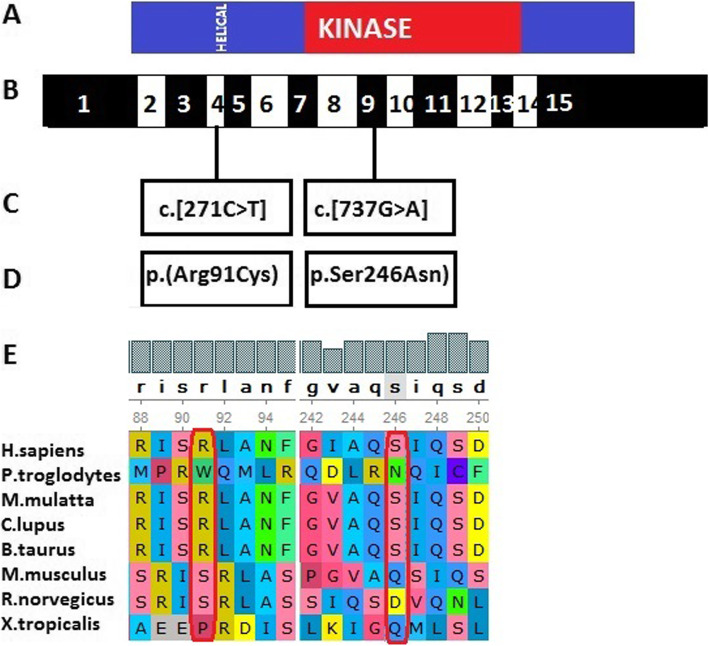 Fig. 3