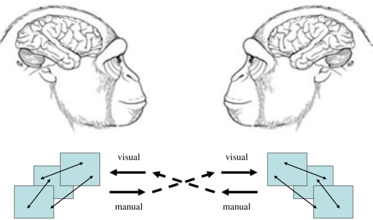 Figure 2: