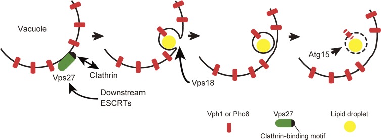 Figure 6.