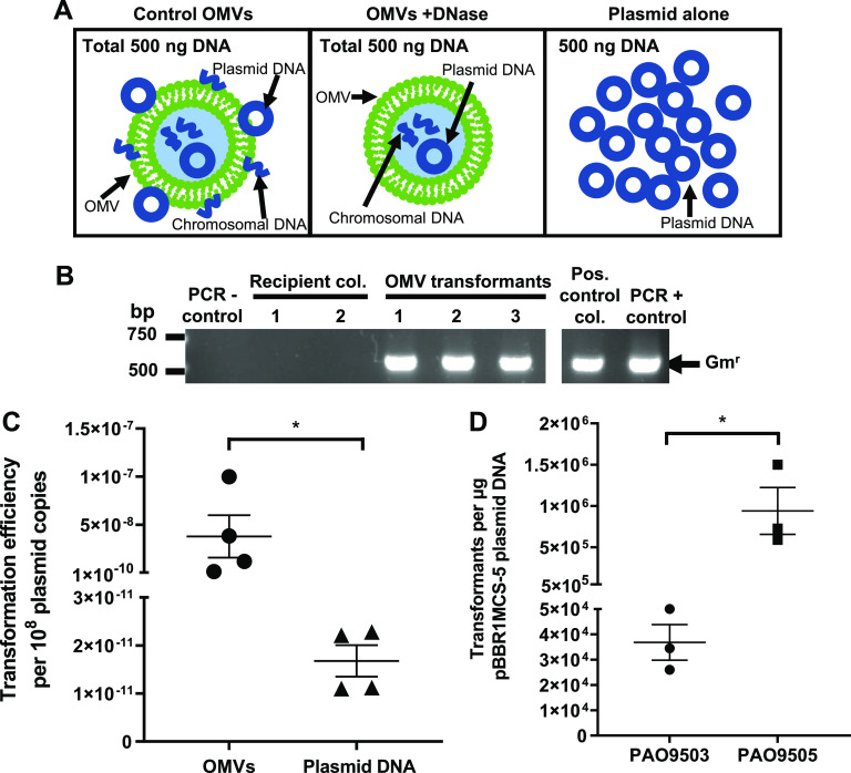 FIG 2