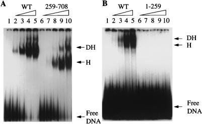 FIG. 1