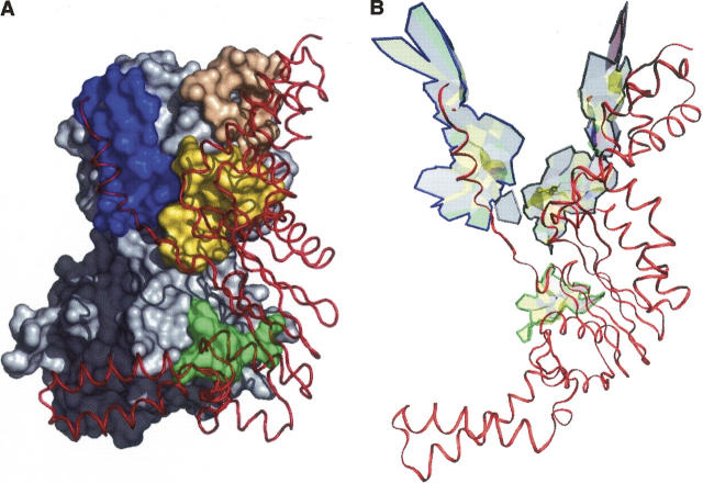 Figure 4.