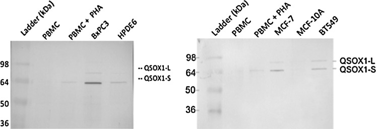 FIG. 4.