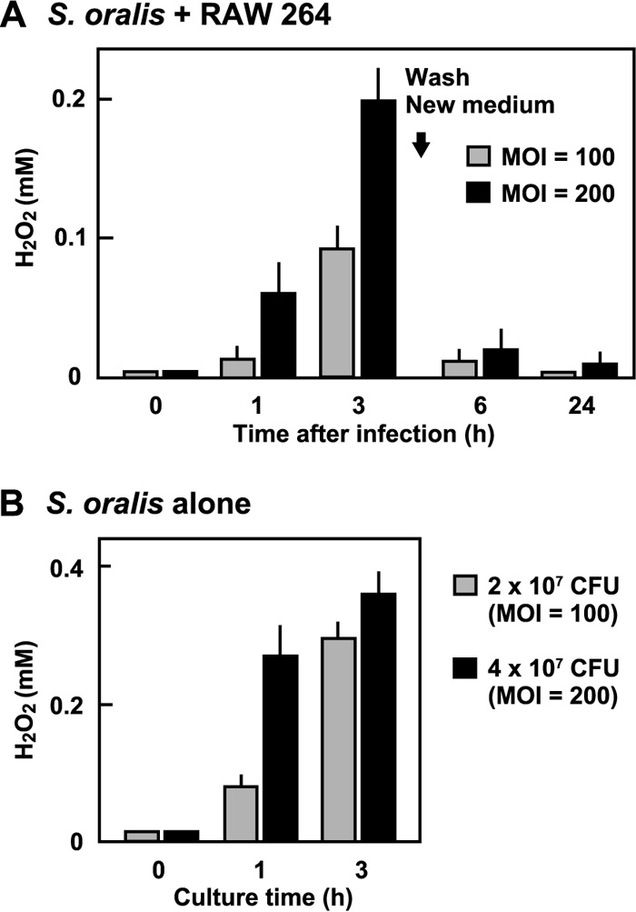 FIG 2