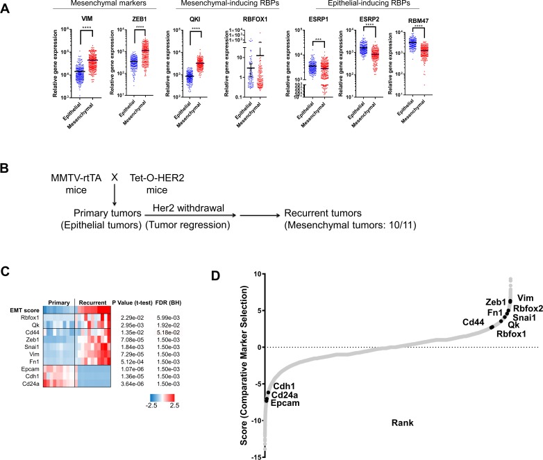 Figure 2—figure supplement 4.