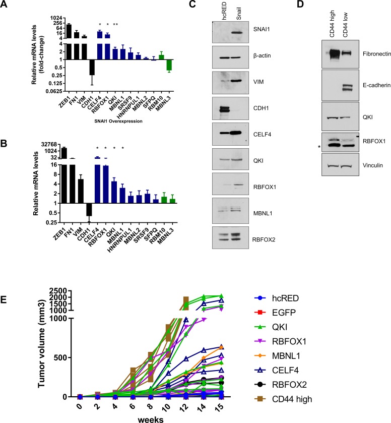 Figure 2—figure supplement 2.