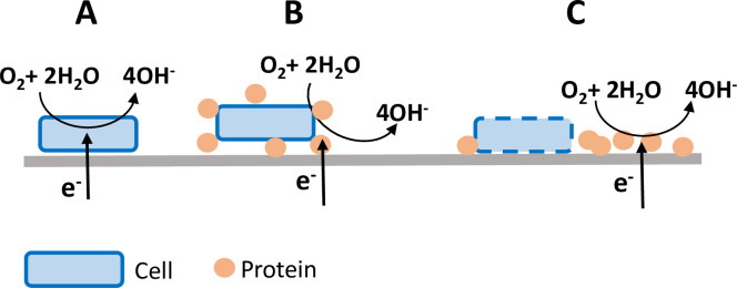 Fig 10