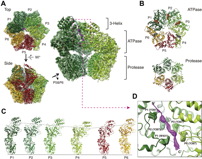 Figure 1