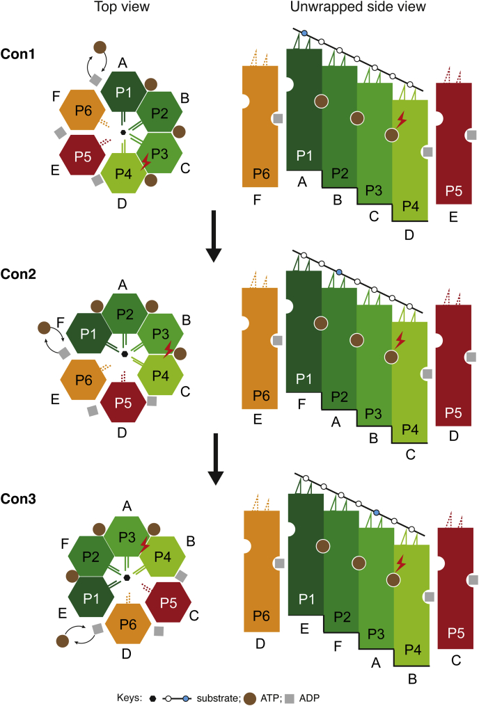 Figure 4