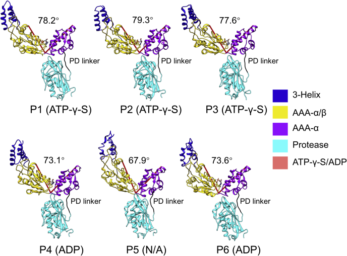 Figure 3