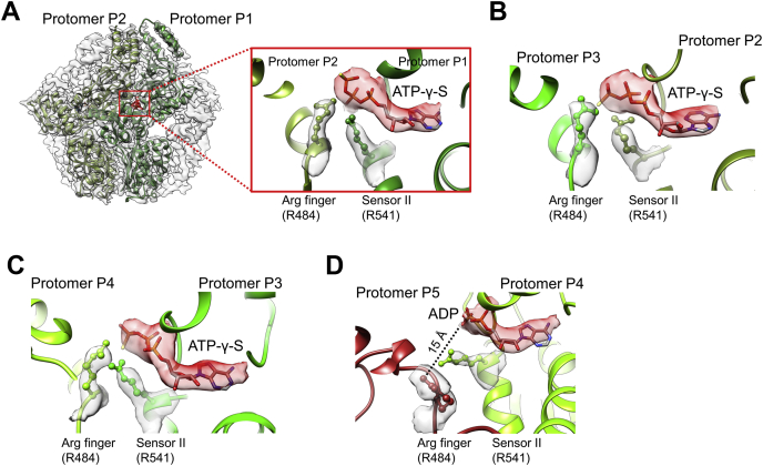 Figure 2