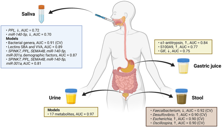 FIGURE 2