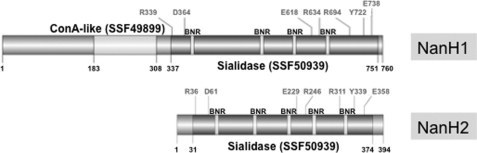 FIGURE 3.