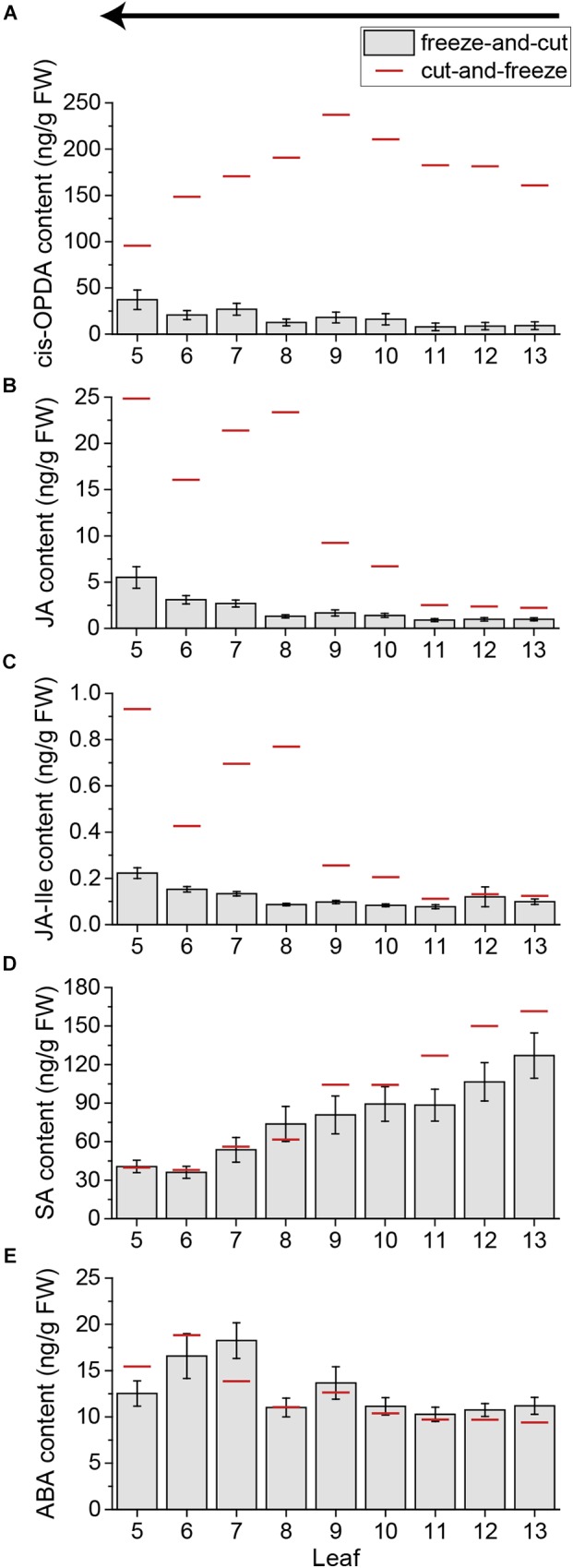 FIGURE 7