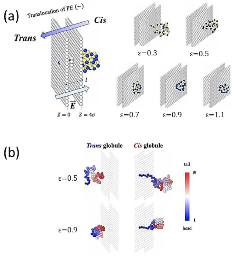 Figure 22