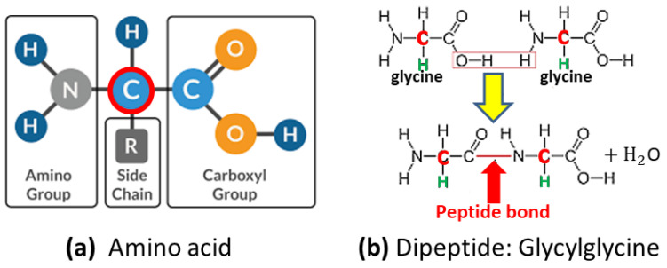 Figure 38