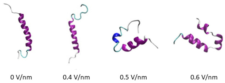 Figure 19