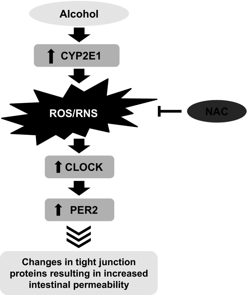 Fig. 10.