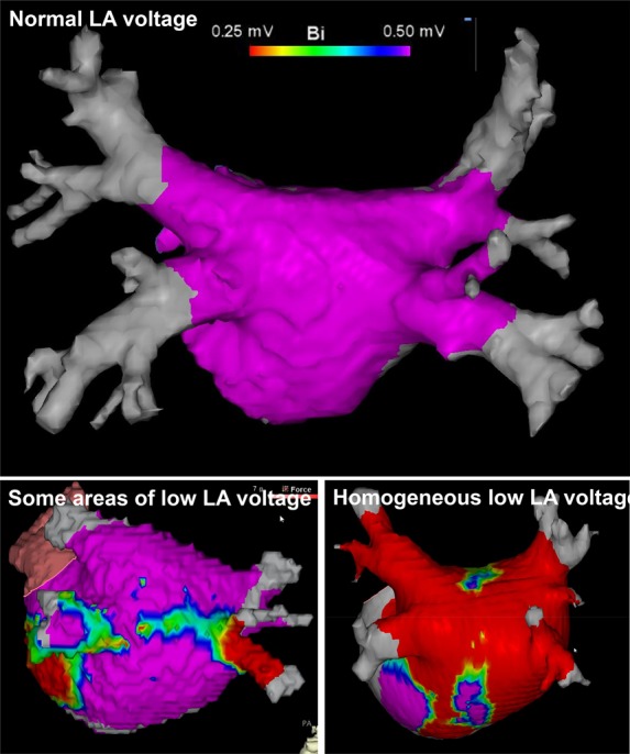 Figure 3