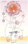 Fig. 10